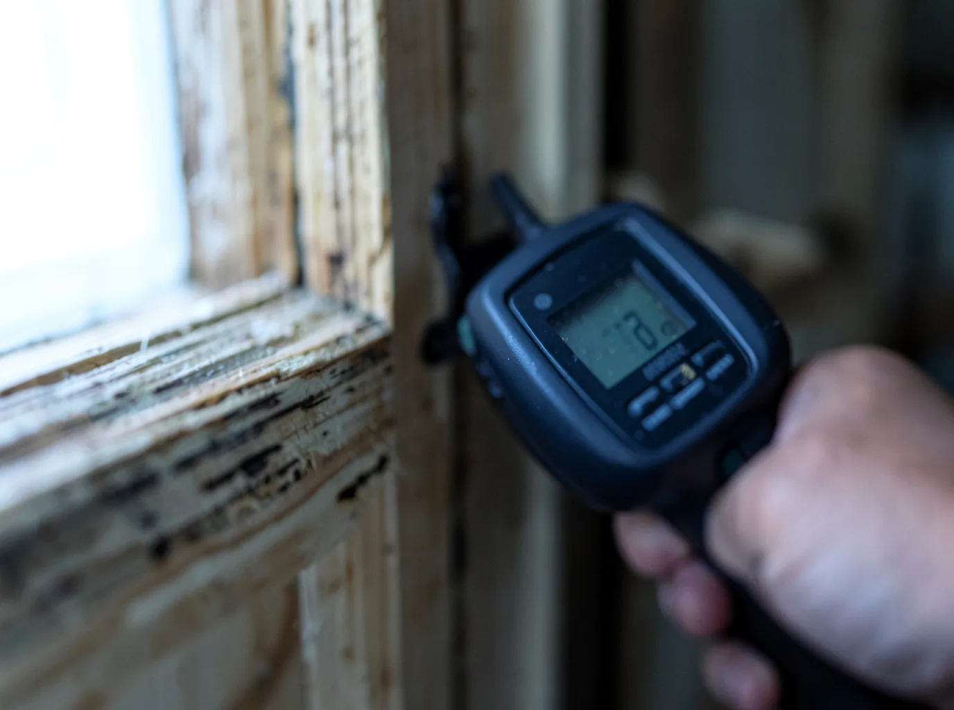 Moisture Inspection And Documentation in East Freedom, PA